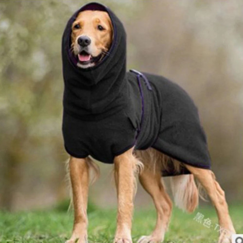 Whippet greyhound dog winter - dog,