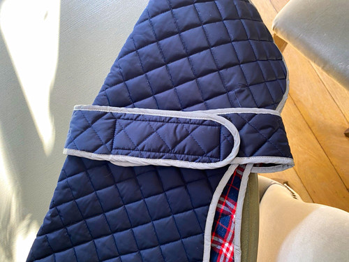 Blue greyhound quilted dog - greyhound,