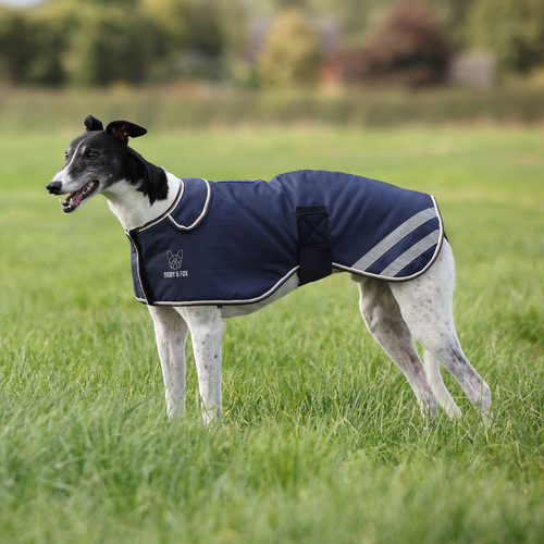 Digby fox waterproof - digby, &