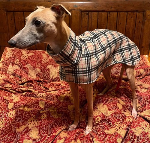 Classic tartan fleece - classic,