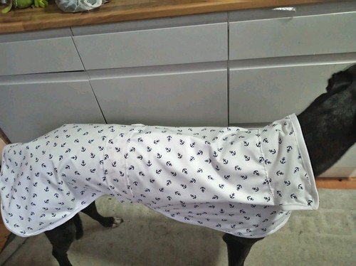 Lightweight nautical greyhound - lightweight,