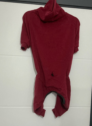 Red greyhound whippet sweater - red,