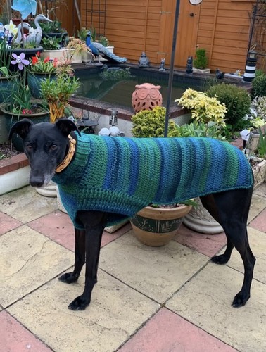 Hand crochet greyhound coat - crochet,