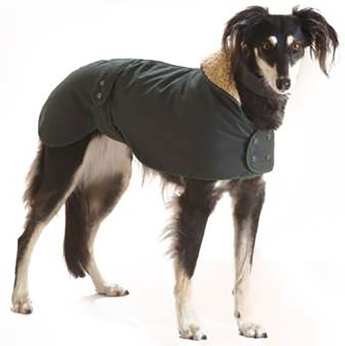 Water windproof greyhound - water,