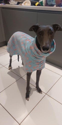 Cherries fleece dog - cherries, coat