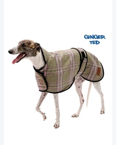 Dog coat - dog,