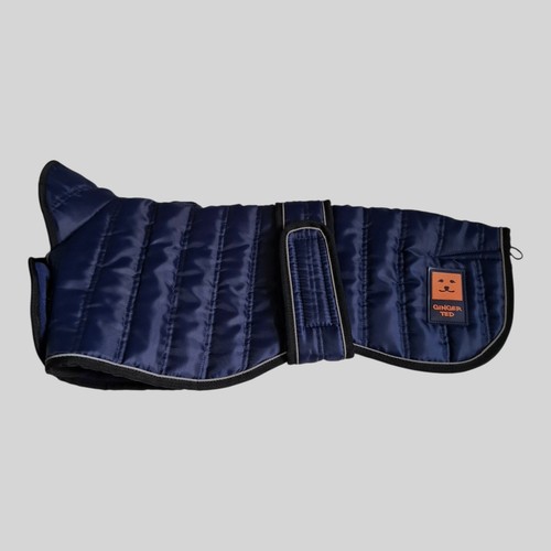 Ginger ted thermal greyhound - ted,