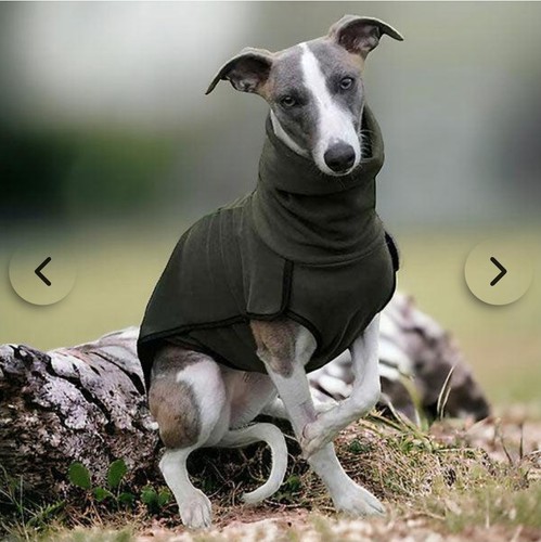 Fleece sighthound base - fleece,
