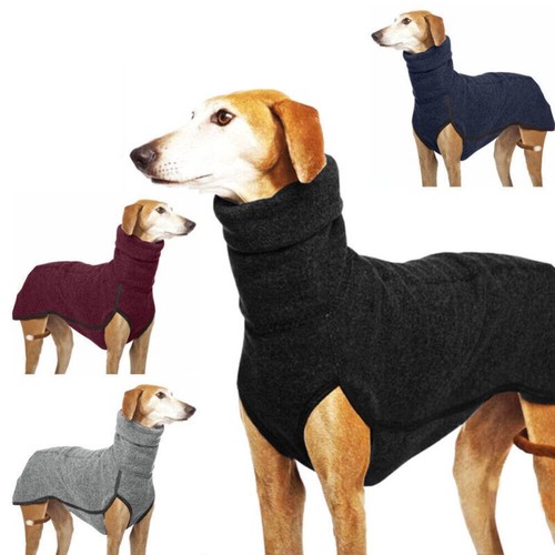 Pet dog winter high collar - pet,