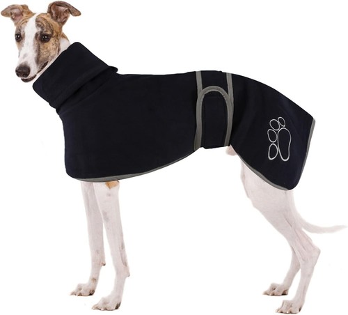 Xsmall greyhound lurcher - xsmall, greyhound/lurcher