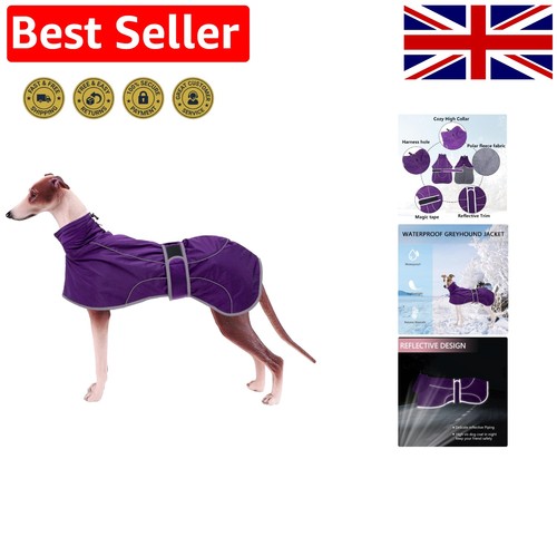 Whippet coat greyhound - coat,