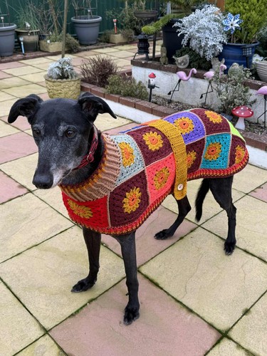 Hand crochet greyhound coat - hand,