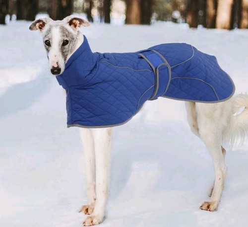 Blue waterproof greyhound - blue,