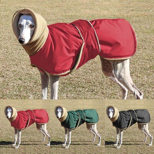 Winter pet dog high - dog, collar