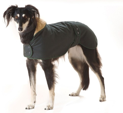 Factory second greyhound - -,