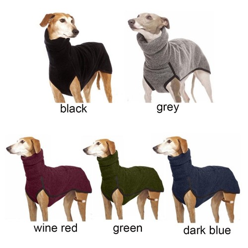 Pet dog winter high - pet, collar