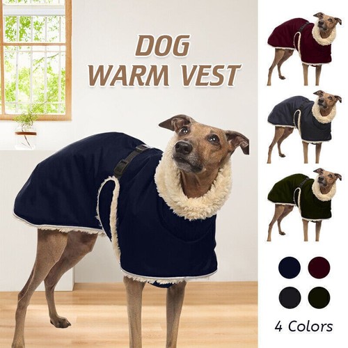Greyhound whippet dog clothes - whippet,
