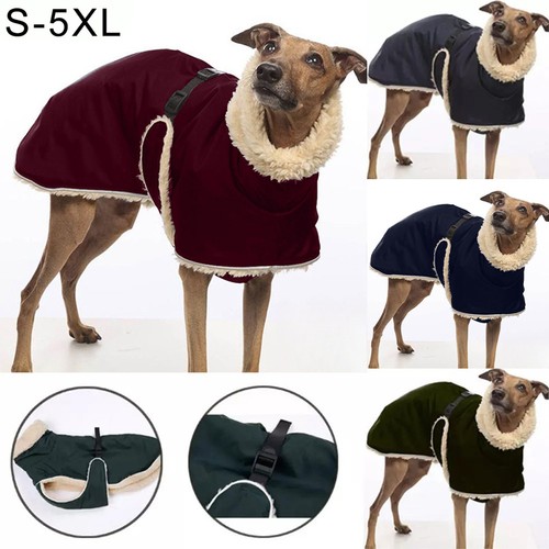 Pet high collar jumper - high,