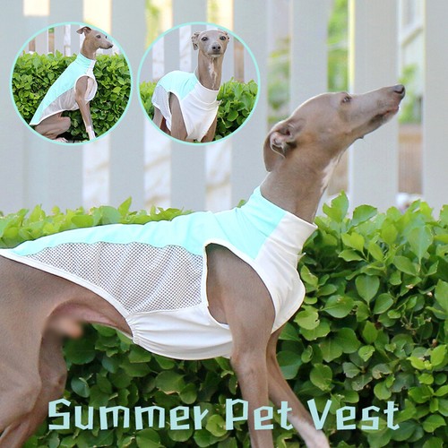 Summer mesh ice silk sunscreen - mesh,