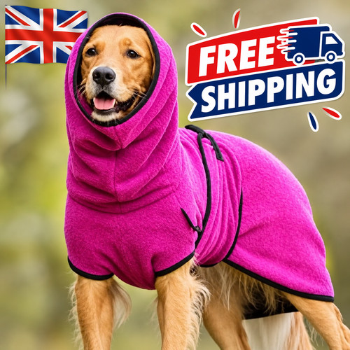 Generic dog winter - generic, for