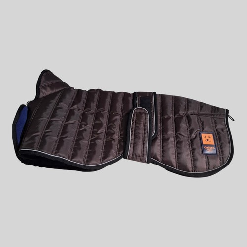 Ginger ted thermal greyhound - thermal,