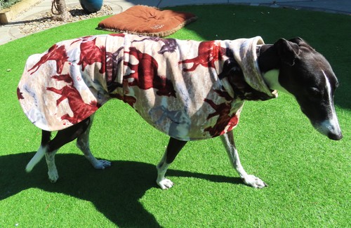 Double fleece dog - dog, xl