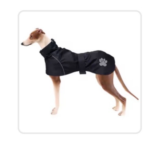 Greyhound dog raincoat lamb - greyhound,