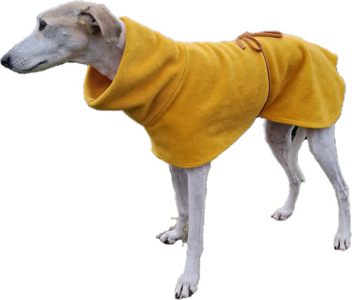 Greyhound lurcher whippet - lurcher,,