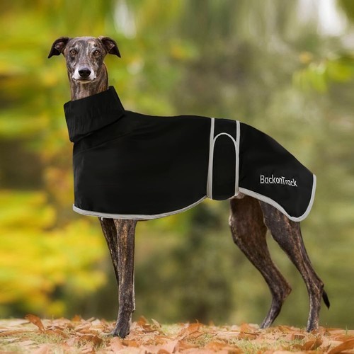 Whippet greyhound waterproof - greyhound,