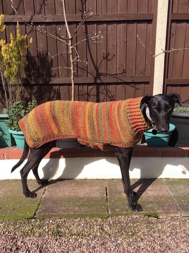 Hand crochet greyhound coat - crochet,