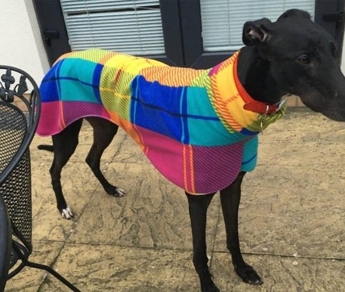 Greyhound fleece coat - fleece,
