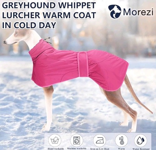 Greyhound whippet waterproof - greyhound,