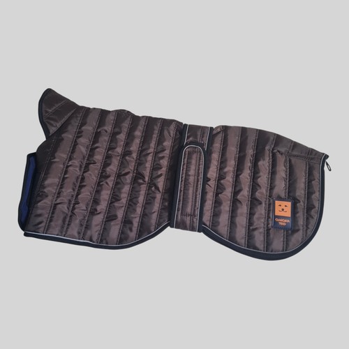 Ginger ted thermal greyhound - ted,