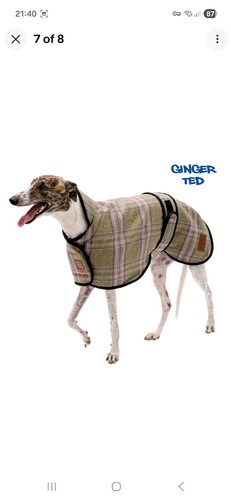 Dog coat - dog,