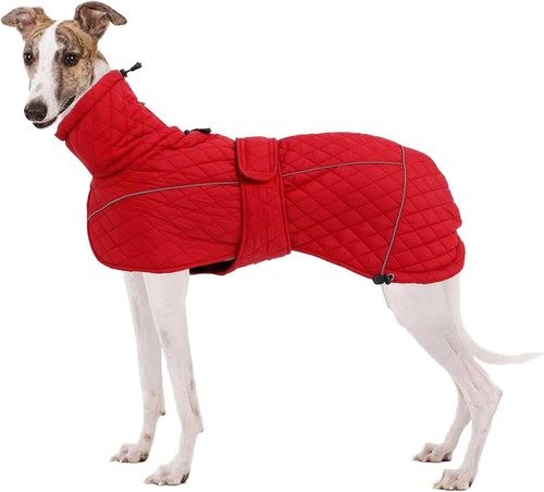 Babepet greyhound quilted - babepet-,