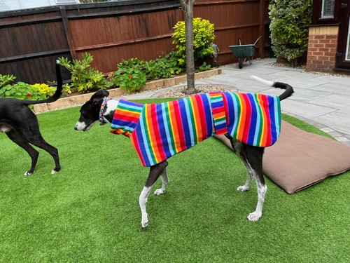 Double fleece dog coat - fleece,