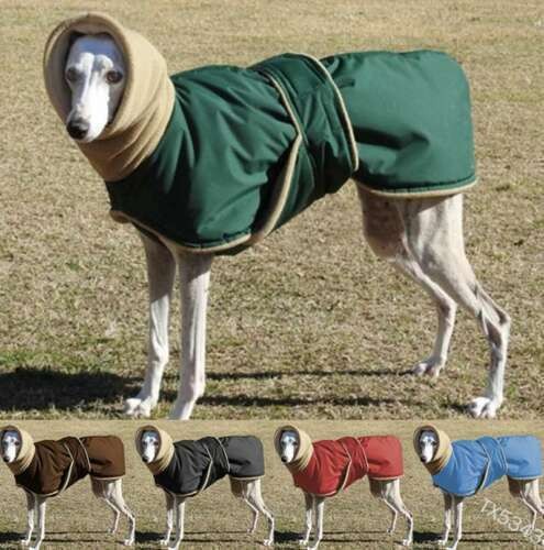Jacket greyhound winter coat - greyhound,