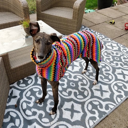 Zigzag fleece dog coat - fleece,