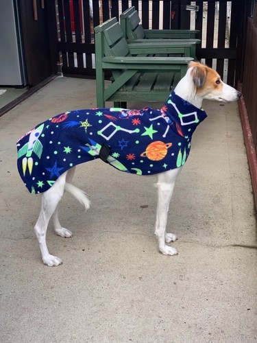 Spaceman fleece dog - fleece, coat