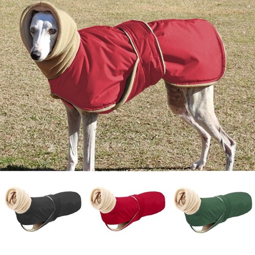 Winter pet dog high collar - winter,