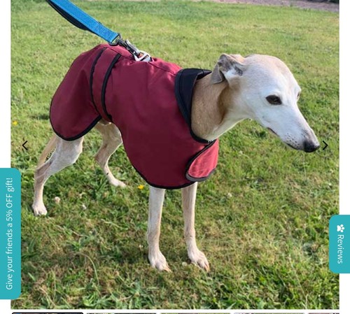 Waterproof greyhound coat - greyhound,