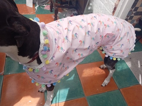 Handmade greyhound fun - , summer