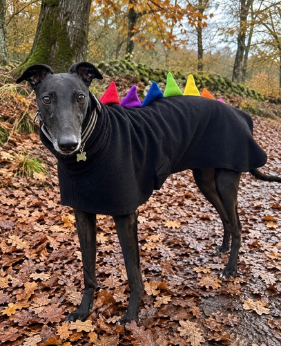 Greyhound dinosaur coat - greyhound, •