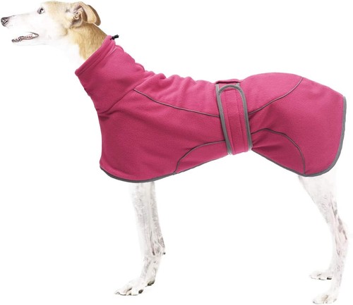 New greyhound whippet - bn,
