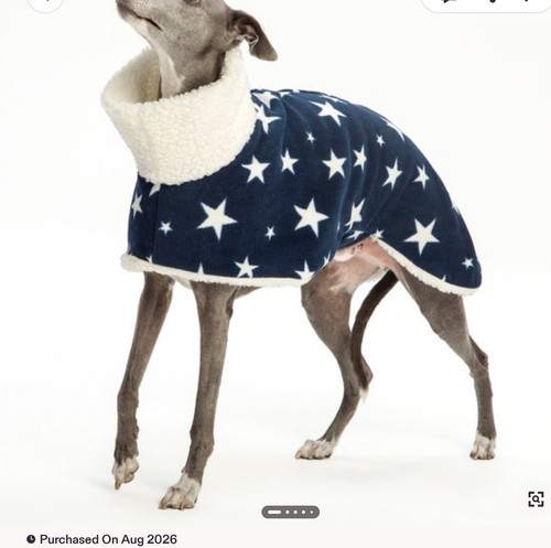 Greyhound winter coat