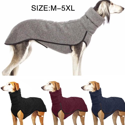 Pet dog high - pet,