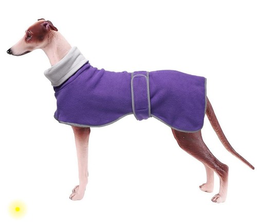 Coat geyecete greyhound - coat,,