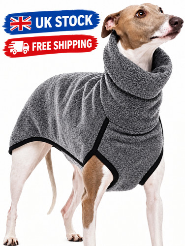 Greyhound winter coat dog - greyhound,