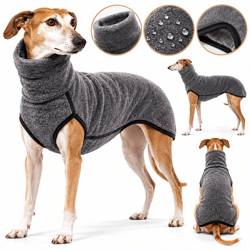Pet dog winter high - dog,