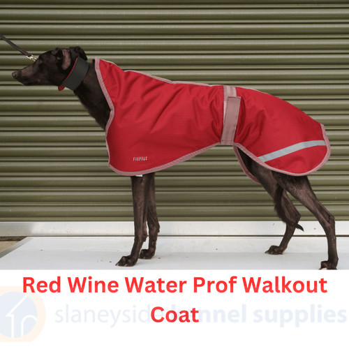 Greyhound dog coat waterproof - greyhound,